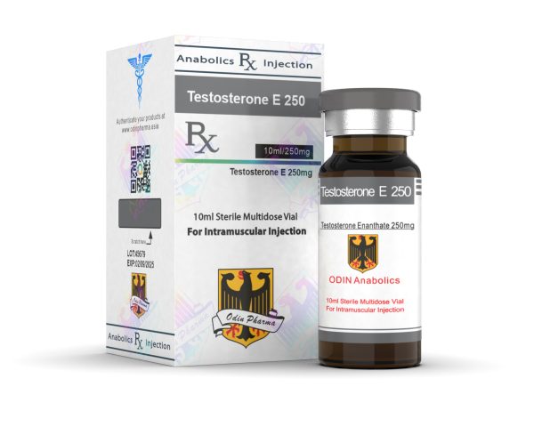 testosterone-enanthate-odin-pharma