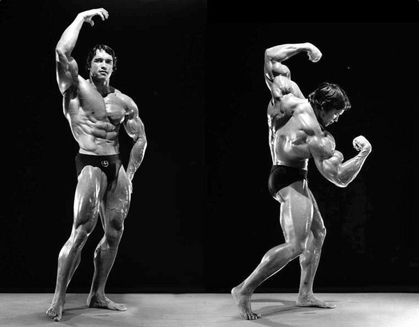 arnold-schwarzenegger-steroids-bodybuilding
