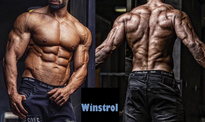 Winstrol-stanozolol-muscles-definition